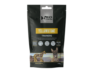 Yellowstone Trainers for dogs (horse)