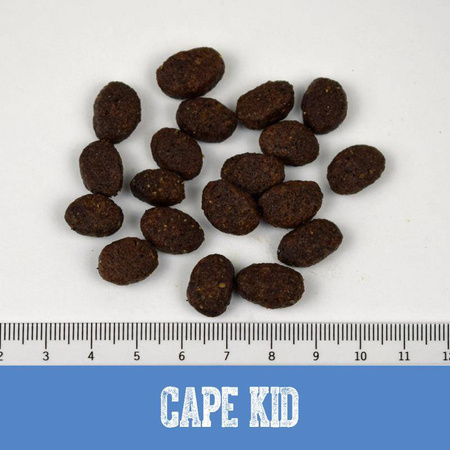 Karma sucha dla szczeniąt Black Canyon Cape Kid Indyk i Łosoś 1,5 kg