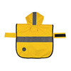 Płaszcz Pariso Raincoat